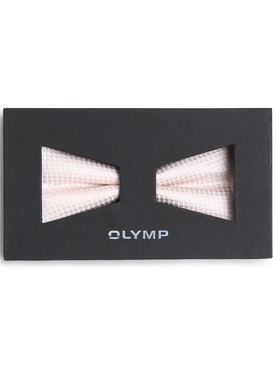 Herren Fliege aus Seide