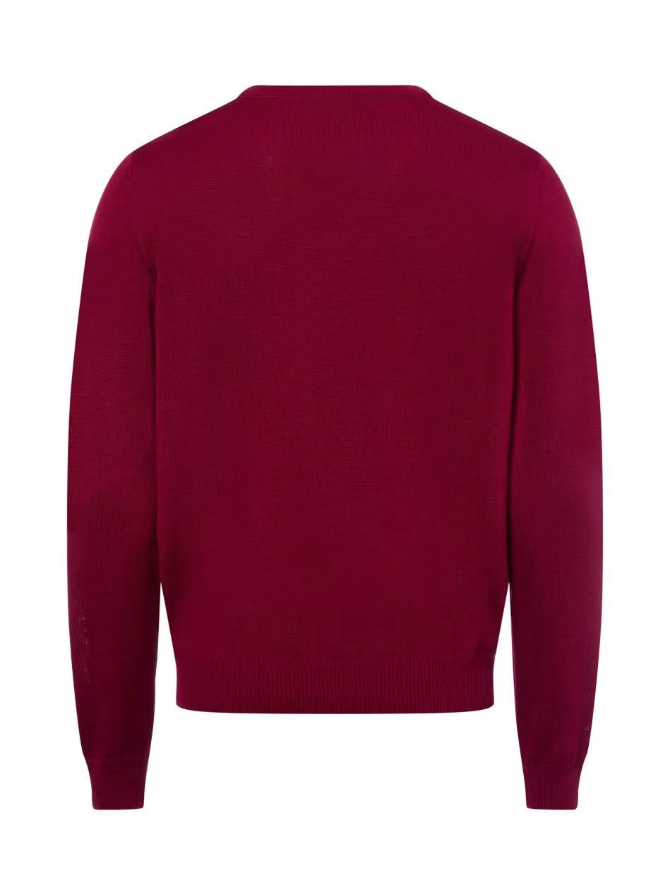 Herren Strickpullover aus Schurwolle